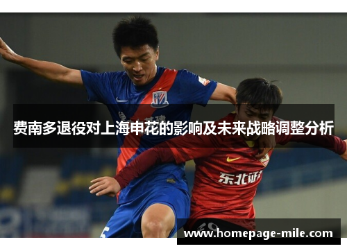 费南多退役对上海申花的影响及未来战略调整分析 费南多退役对上海申花的影响及未来战略调整分析