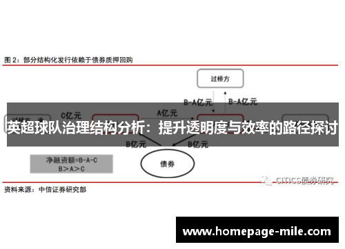 英超球队治理结构分析：提升透明度与效率的路径探讨