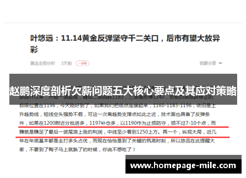 赵鹏深度剖析欠薪问题五大核心要点及其应对策略