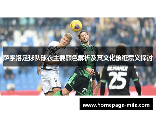 萨索洛足球队球衣主要颜色解析及其文化象征意义探讨