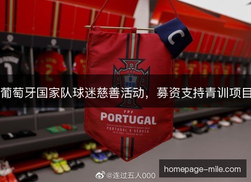 葡萄牙国家队球迷慈善活动，募资支持青训项目